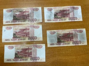 В Тимашевске полицейские задержали подозреваемую в краже денег у пенсионерки
